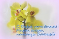 /album/fotogalereya/a9-03-14-orkhrkhideya-023-sajt-jpg/